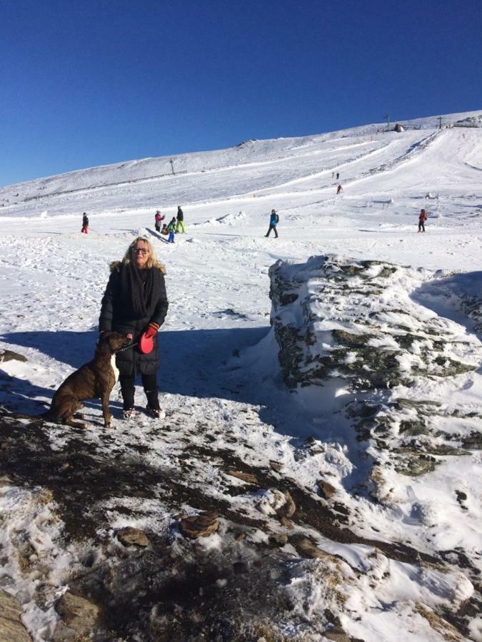 Almhaus Schreibmayer Hartelsberg Bagian luar foto