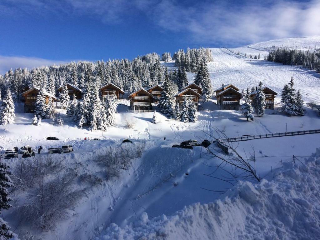 Almhaus Schreibmayer Hartelsberg Bagian luar foto