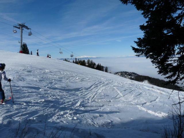 Almhaus Schreibmayer Hartelsberg Bagian luar foto